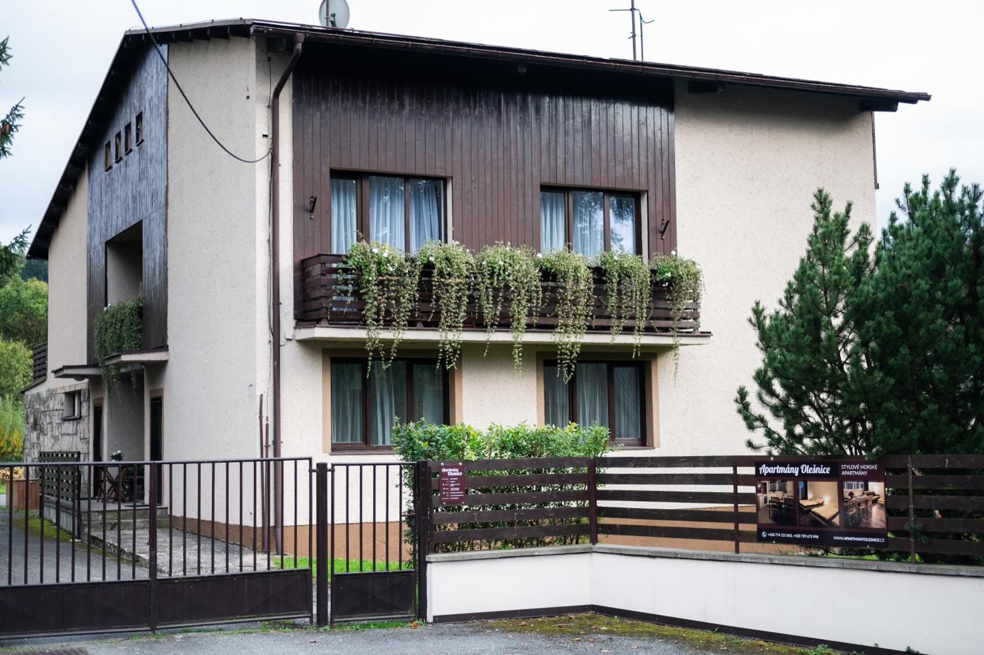 Olesnice Apartment *